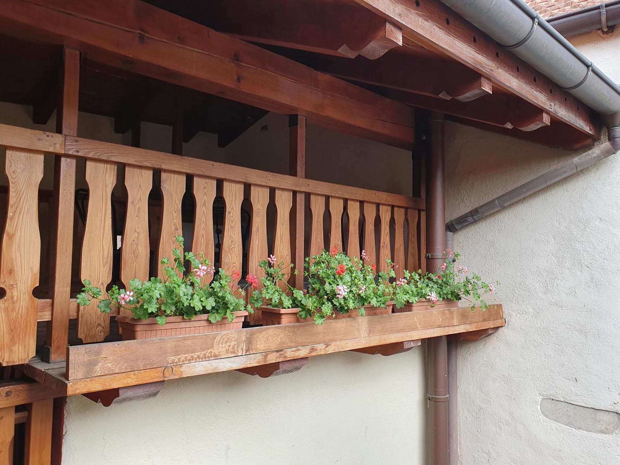 Appartamenti Vacanze E Camere Roccetta Fiorita 페텐나스코 객실 사진